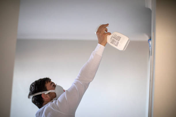 Best Local Mold Removal Service  in Baldwin, MI