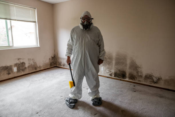 Best Residential Mold Removal  in Baldwin, MI